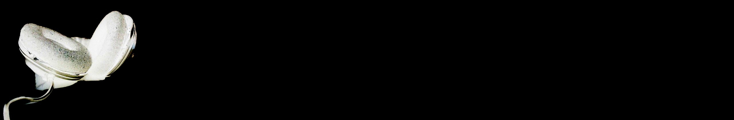 Headphones Footer